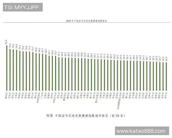 足球明星转型教练的成功与挑战分析及其对足球发展的影响
